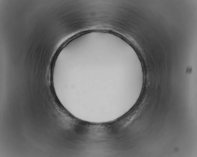 X0000094420838200712061049