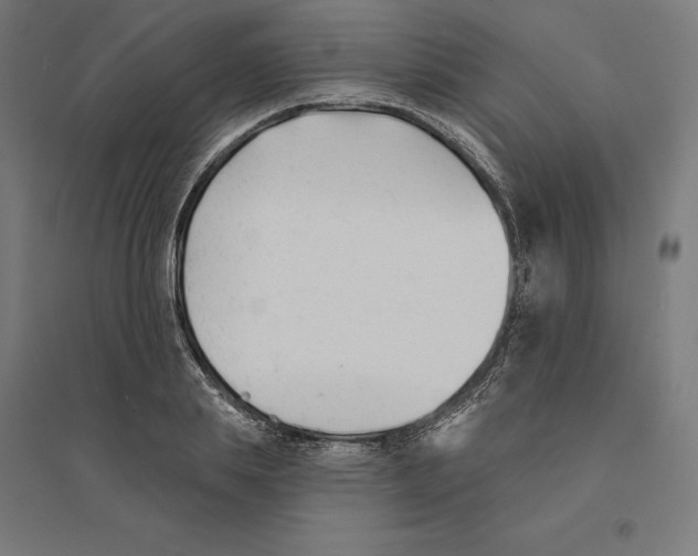 X0000094420839200712061049