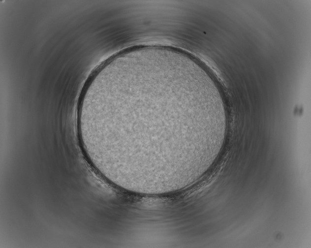 X0000094420840200712061049