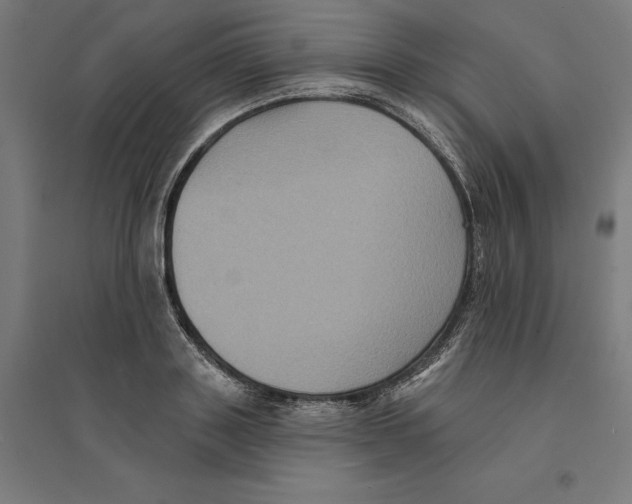 X0000094420843200712061049