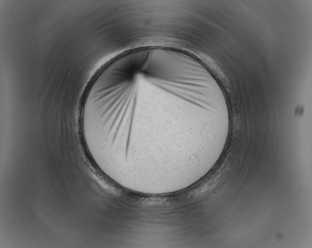 X0000094420846200712061049