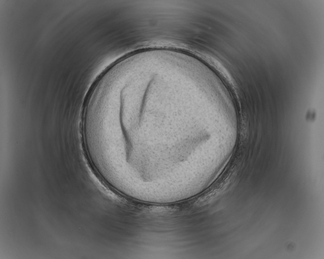 X0000094420847200712061049