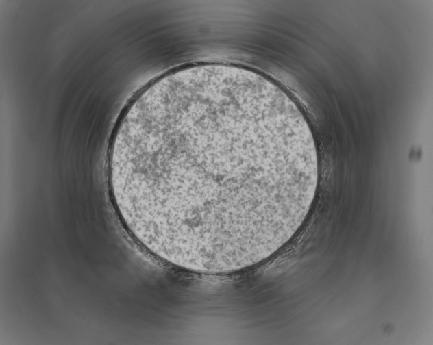 X0000094420848200712061049