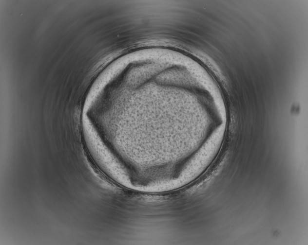 X0000094420849200712061049