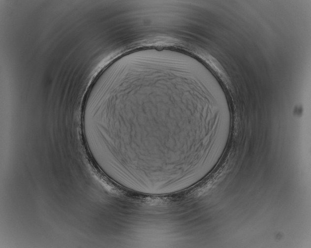 X0000094420850200712061049