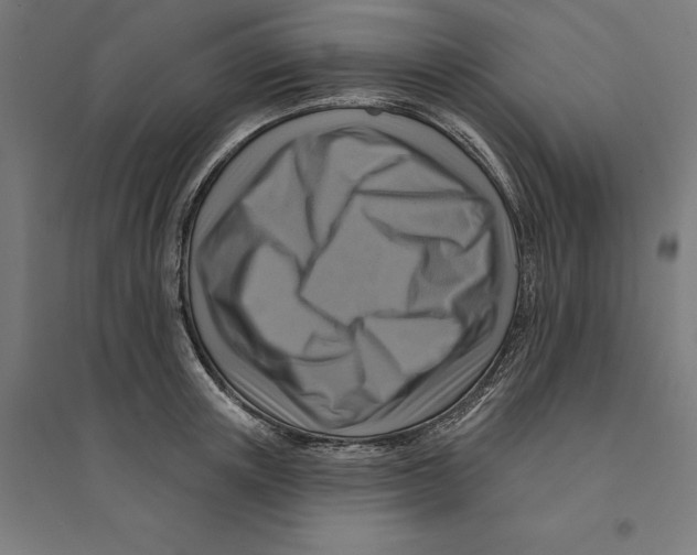 X0000094420851200712061049