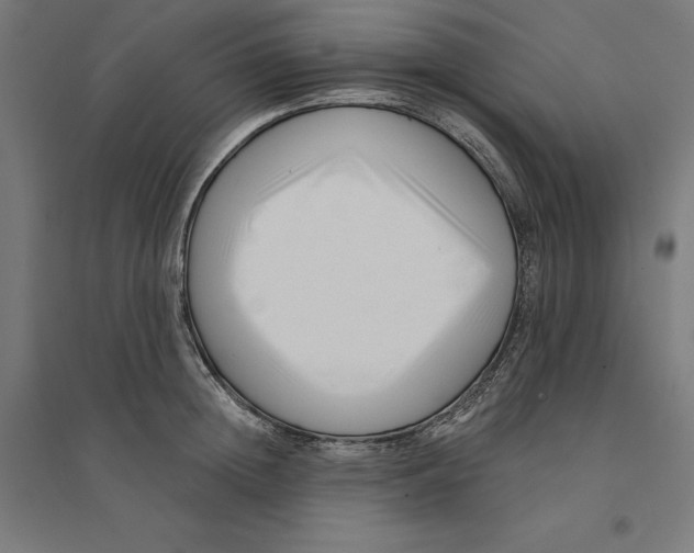 X0000094420852200712061049