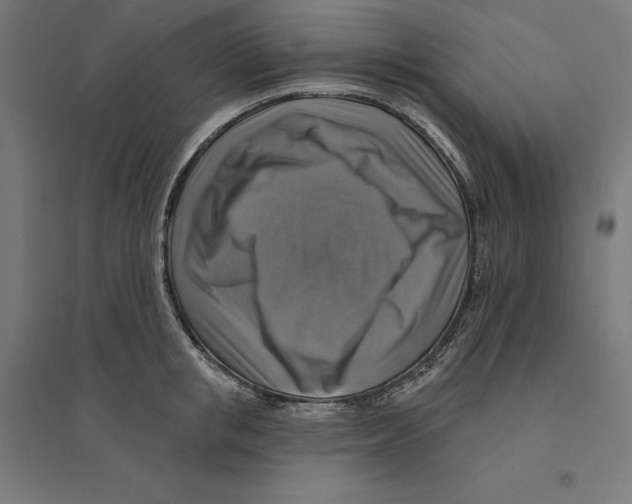 X0000094420853200712061049