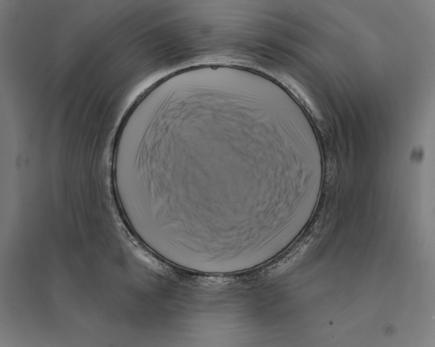 X0000094420854200712061049