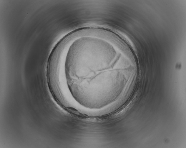 X0000094420855200712061049