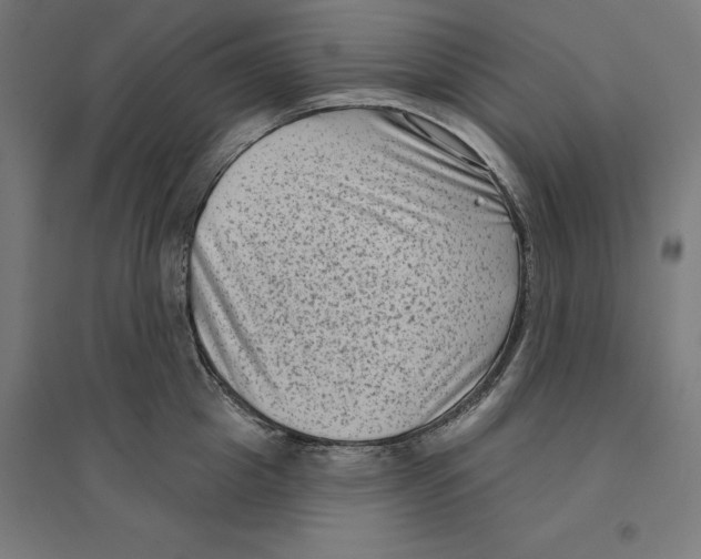 X0000094420857200712061049