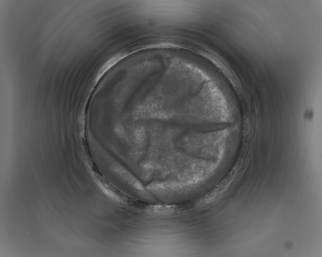 X0000094420858200712061049