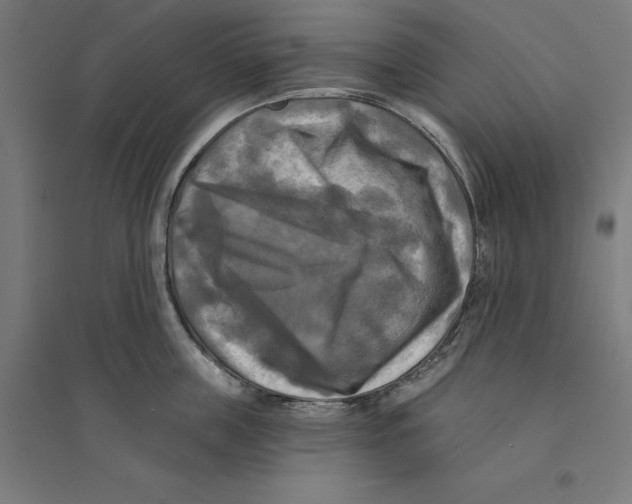 X0000094420859200712061050