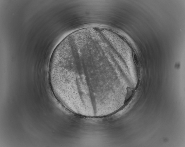 X0000094420860200712061050