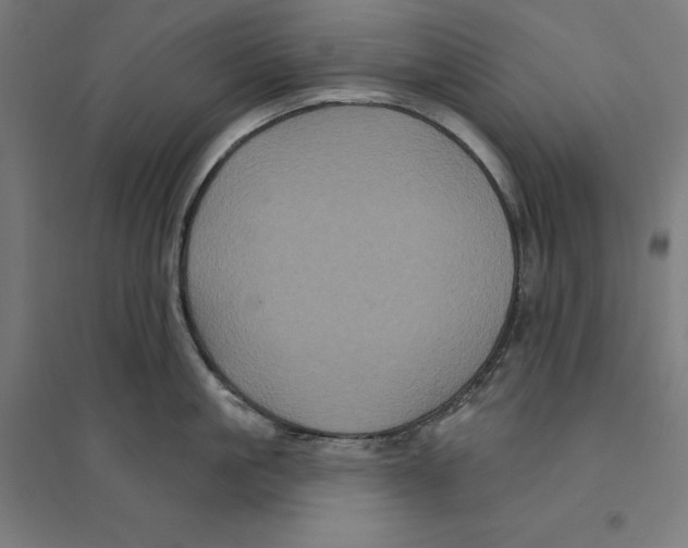 X0000094420861200712061050