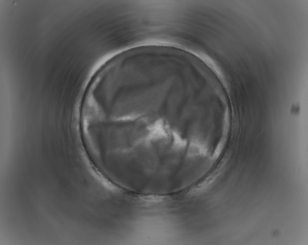 X0000094420862200712061050