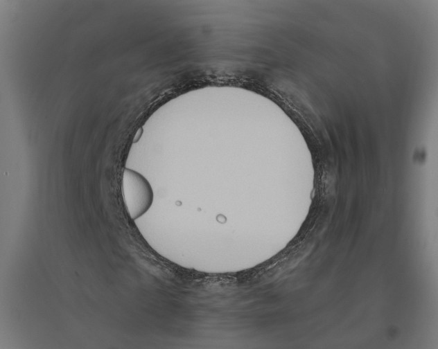 X0000094420865200712061049