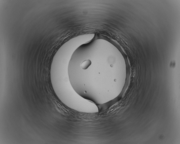 X0000094420868200712061049