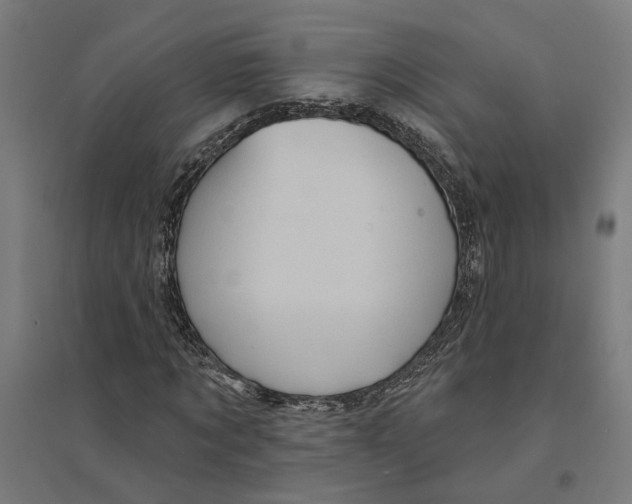 X0000094420869200712061049