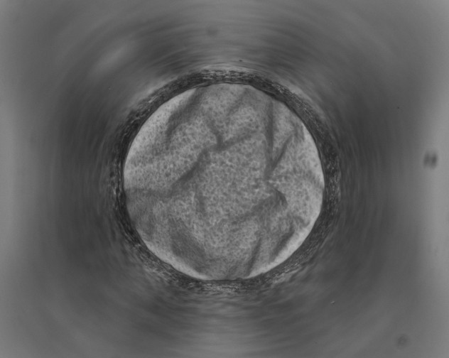 X0000094420870200712061049