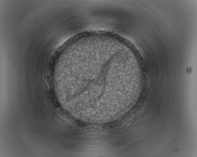 X0000094420871200712061049