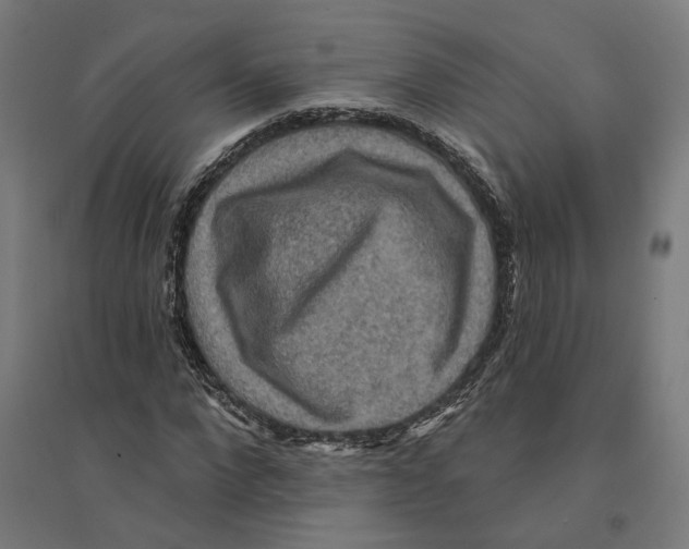 X0000094420872200712061049