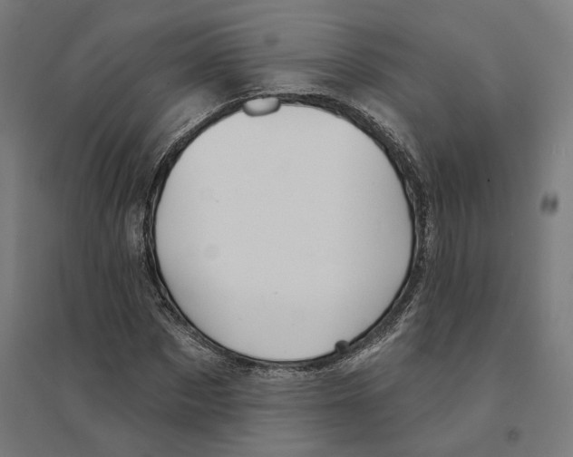 X0000094420873200712061049