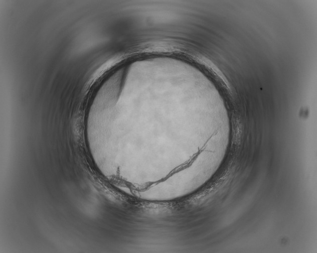 X0000094420874200712061049