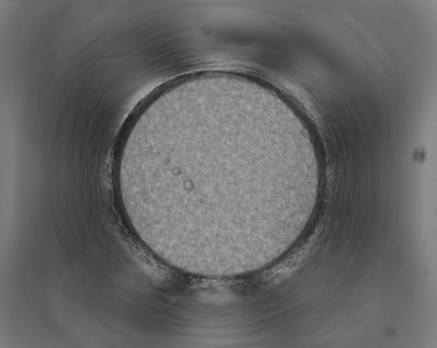 X0000094420875200712061049