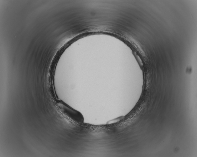 X0000094420876200712061049