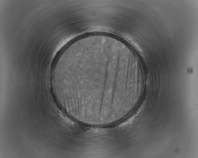 X0000094420877200712061049