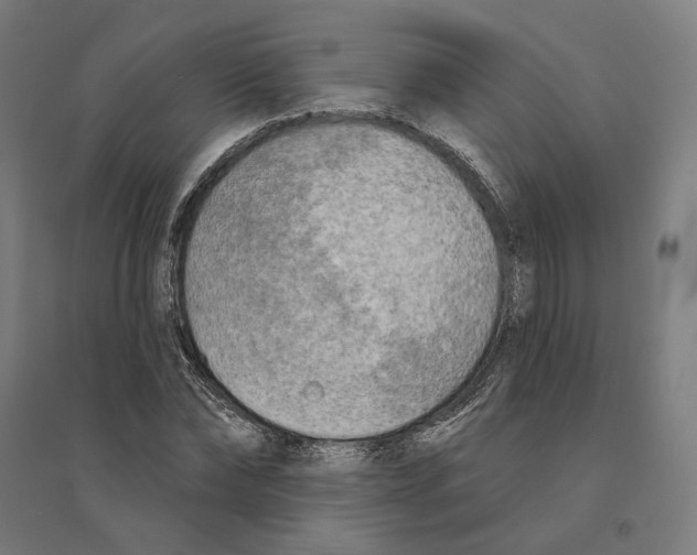 X0000094420878200712061049