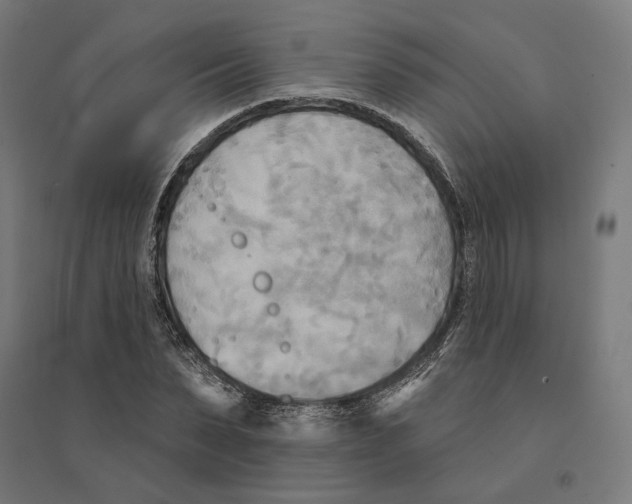 X0000094420879200712061049