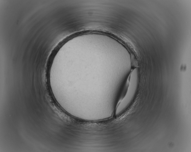 X0000094420880200712061049