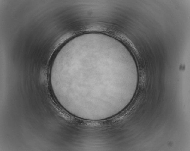 X0000094420882200712061049