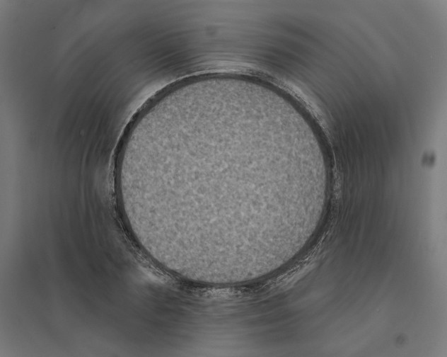 X0000094420883200712061049