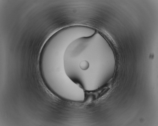 X0000094420884200712061049