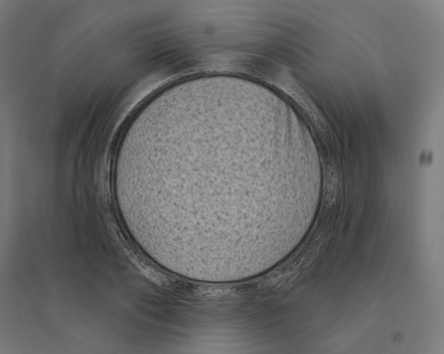 X0000094420886200712061049