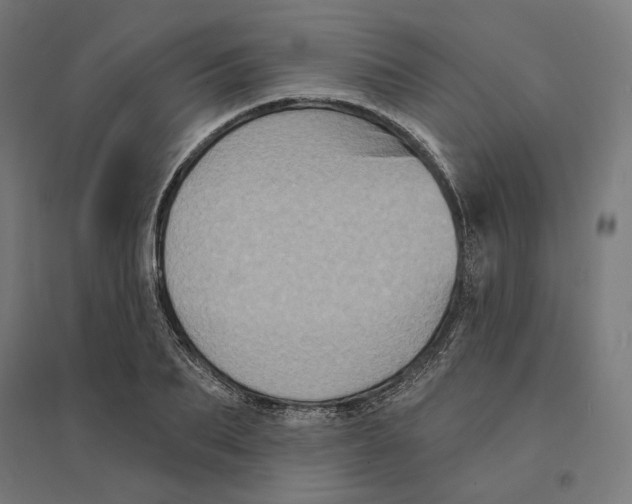 X0000094420887200712061049