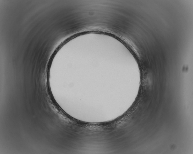 X0000094420888200712061049