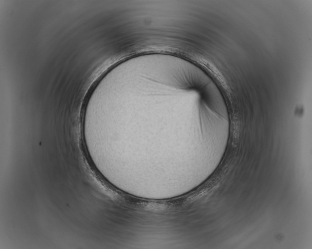 X0000094420890200712061049