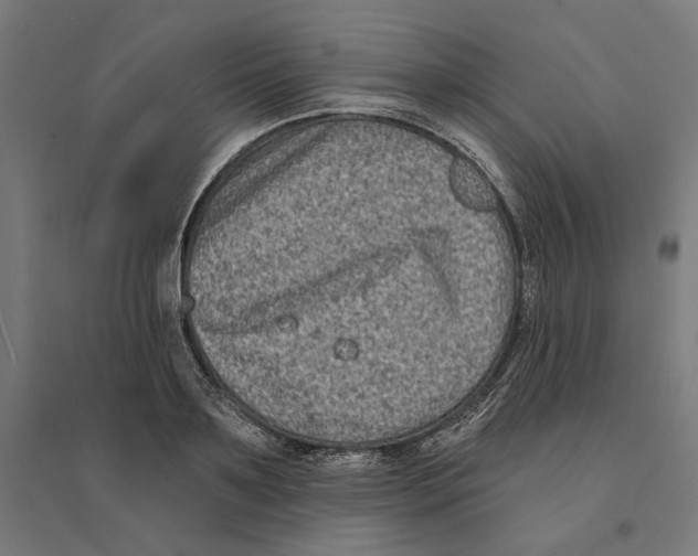 X0000094420891200712061049