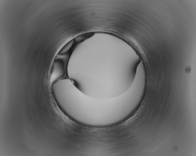 X0000094420892200712061049