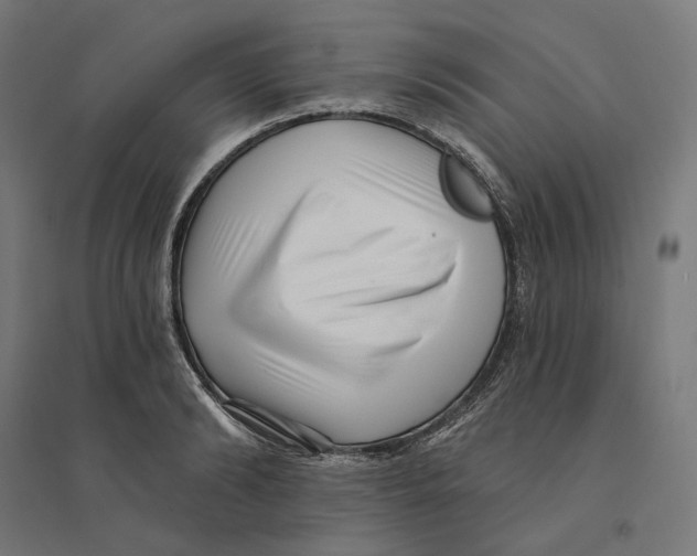 X0000094420894200712061049