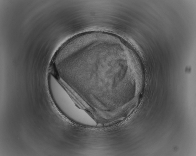 X0000094420896200712061048