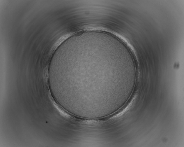 X0000094420897200712061048