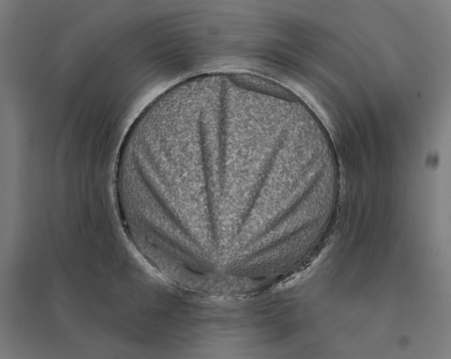 X0000094420901200712061048