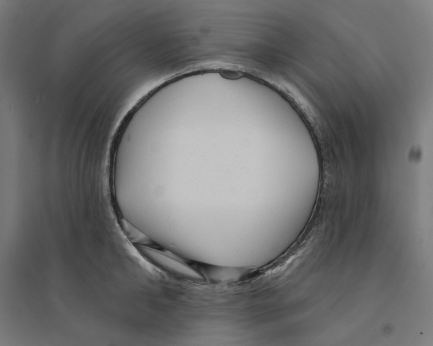 X0000094420902200712061048