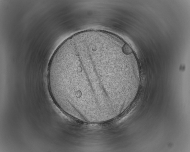 X0000094420903200712061048