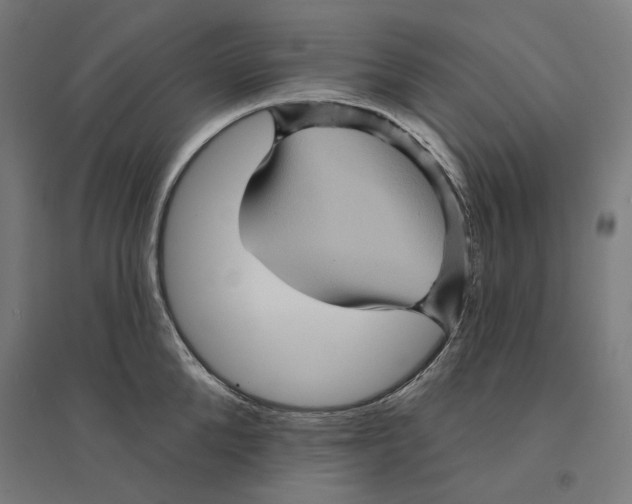 X0000094420904200712061048